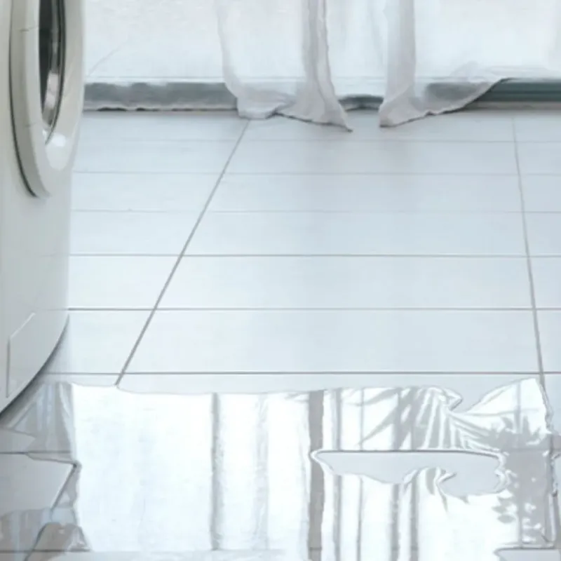 Appliance Leak Cleanup in Cicero, IL