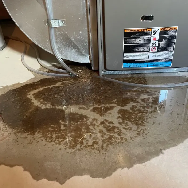 Pipe Burst and Leak Restoration in Cicero, IL
